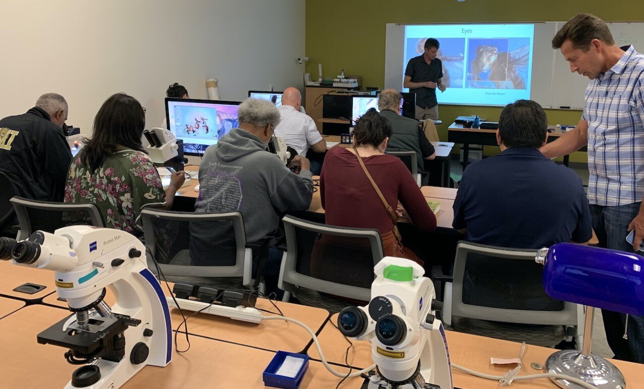 Optical Microscopy - Certificate of Achievement