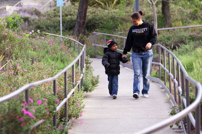 Psychology – AA-T Degree