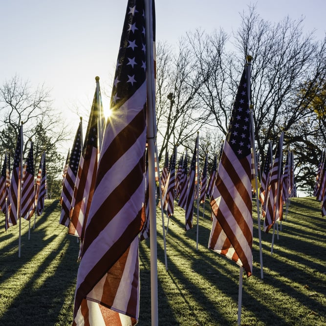 American flags with sun flare and long shadows early on an autumn morning three days before the Veterans Day federal holiday
